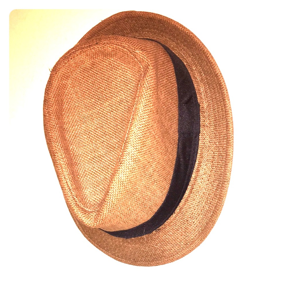 Brown fedora